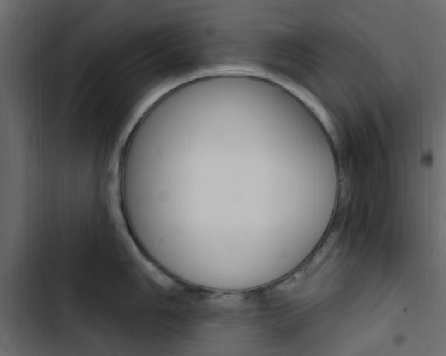 X0000103911006200809191115