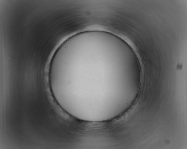 X0000103911008200809191115