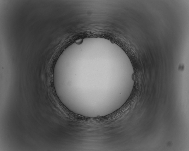 X0000103911009200809191114