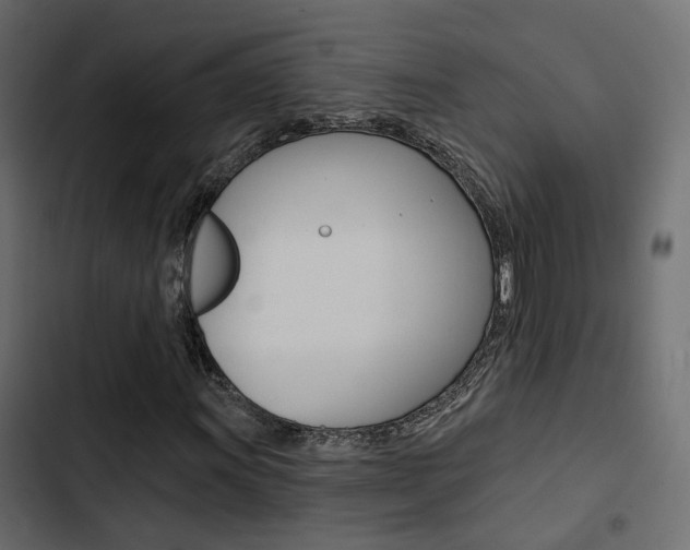 X0000103911011200809191114