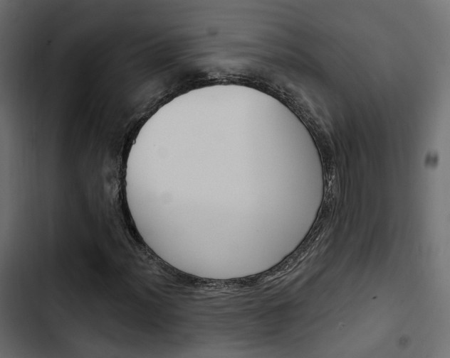 X0000103911012200809191114