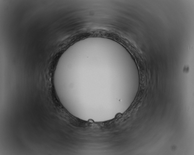 X0000103911013200809191114