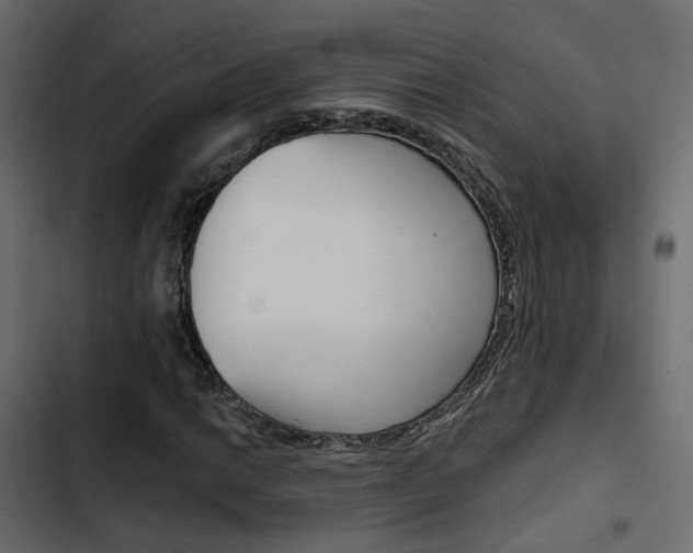 X0000103911014200809191114