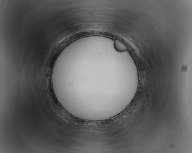 X0000103911015200809191114