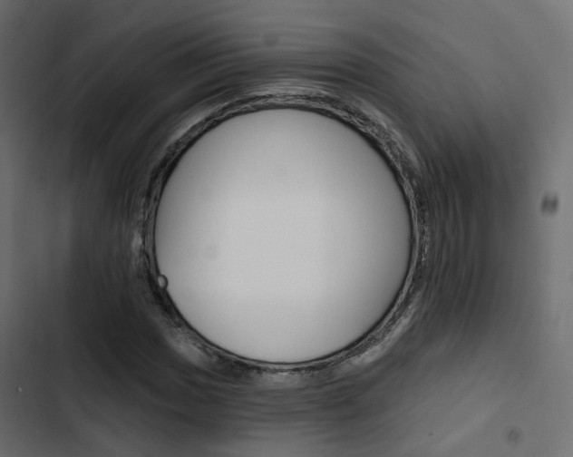 X0000103911017200809191114