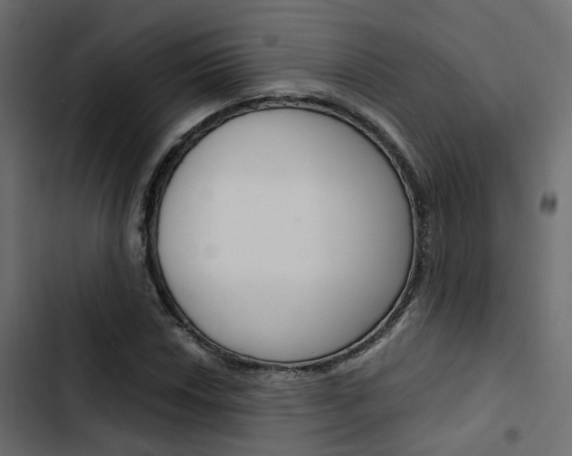 X0000103911018200809191114
