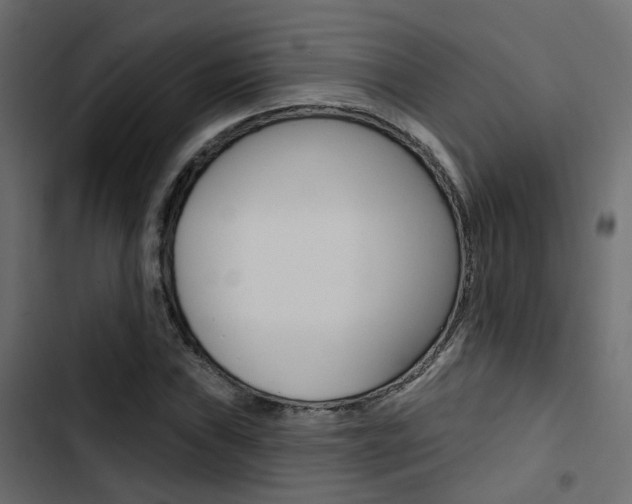 X0000103911019200809191114