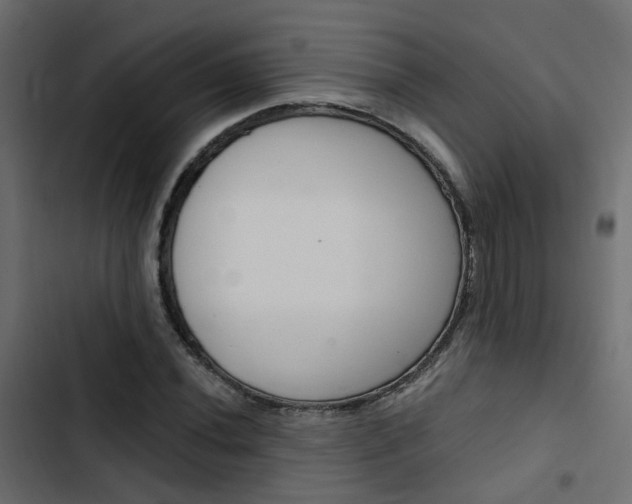 X0000103911020200809191114