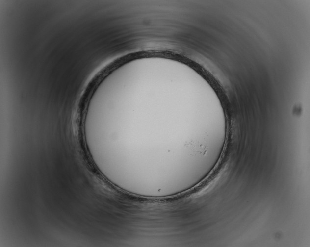 X0000103911021200809191114