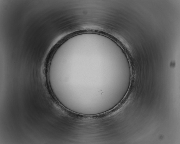 X0000103911022200809191114