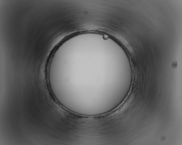 X0000103911023200809191114