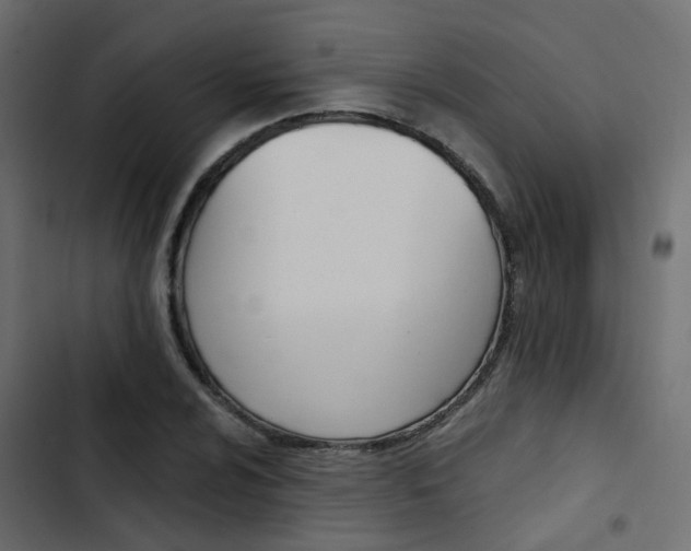 X0000103911024200809191114