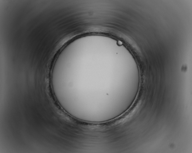 X0000103911025200809191114