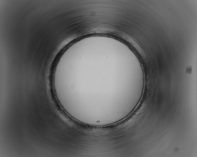 X0000103911026200809191114