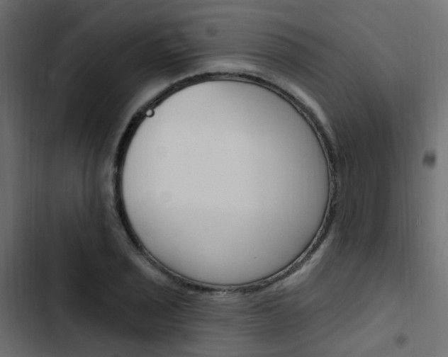 X0000103911029200809191114