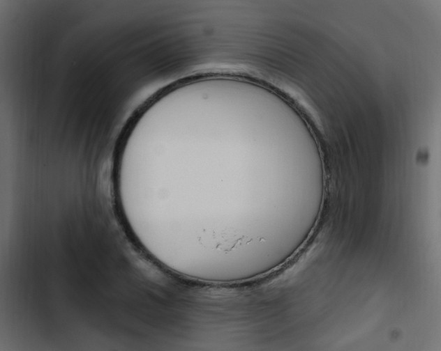 X0000103911030200809191114