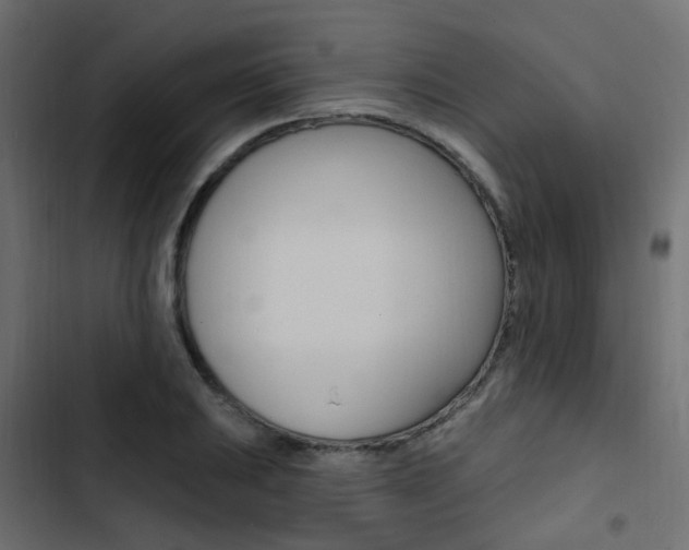 X0000103911031200809191114