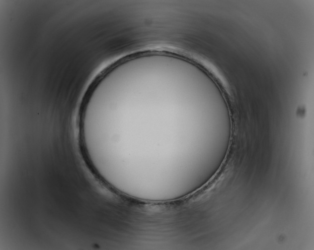 X0000103911032200809191114