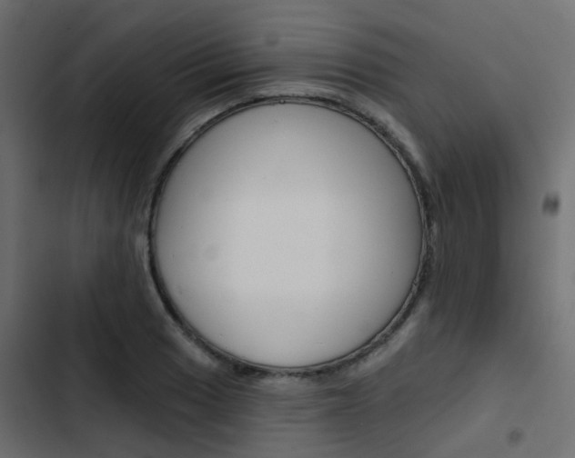 X0000103911033200809191114