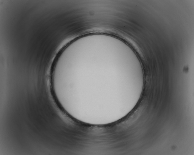 X0000103911034200809191114