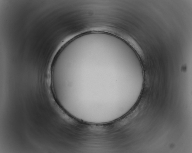 X0000103911036200809191114