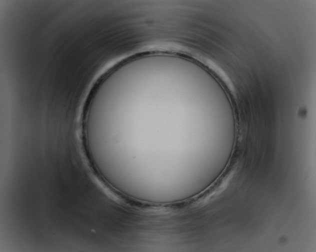 X0000103911037200809191114
