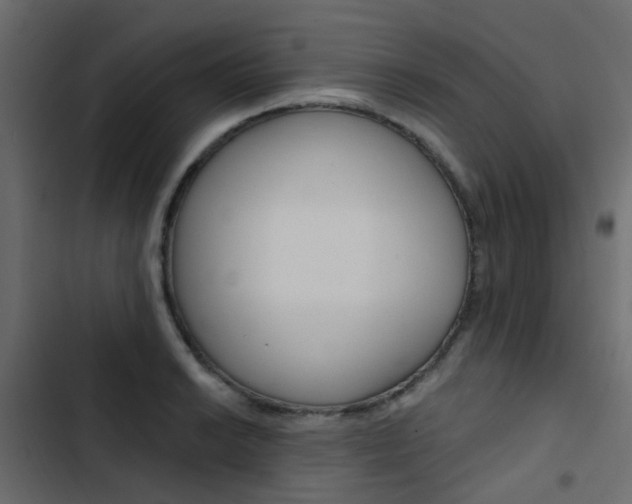 X0000103911038200809191114