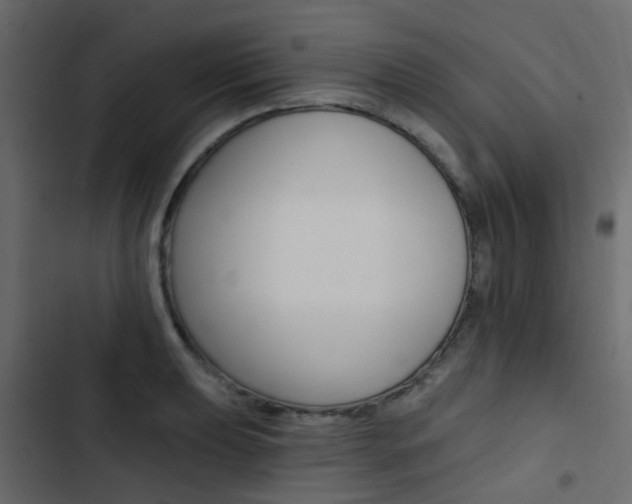 X0000103911039200809191114