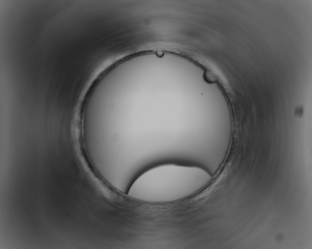 X0000103911040200809191114