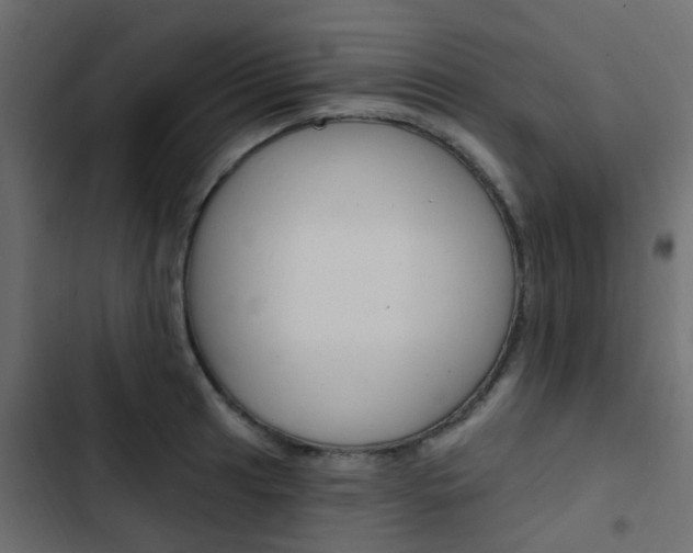 X0000103911041200809191114
