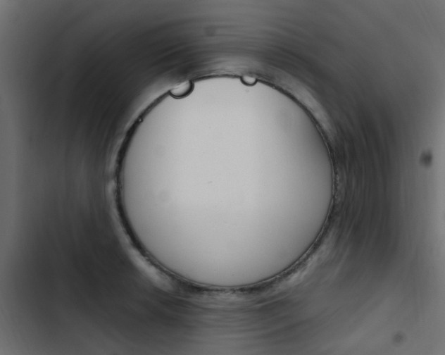 X0000103911042200809191114