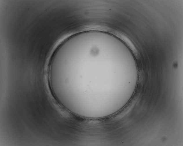 X0000103911043200809191114