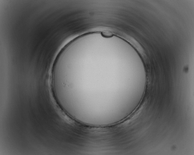 X0000103911044200809191114
