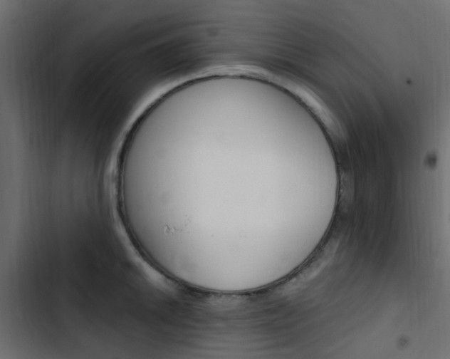 X0000103911046200809191114