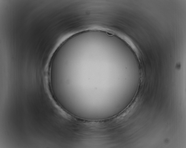 X0000103911048200809191114