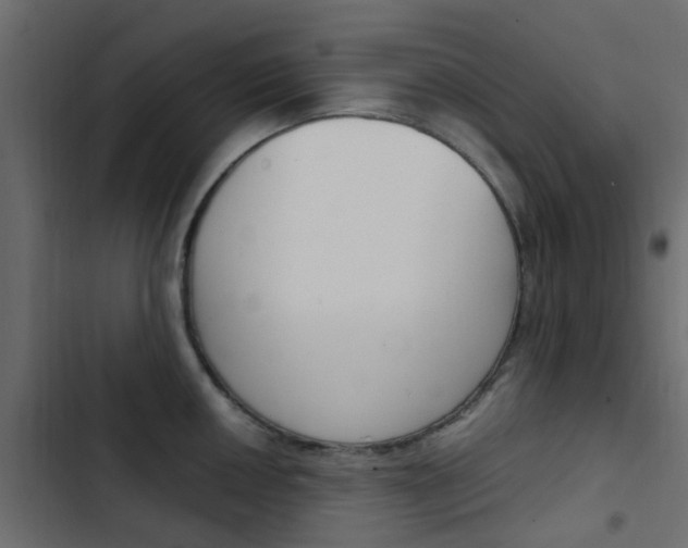 X0000103911050200809191115
