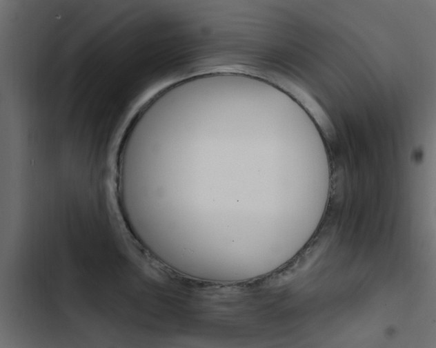 X0000103911051200809191115