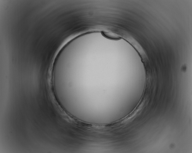 X0000103911052200809191115