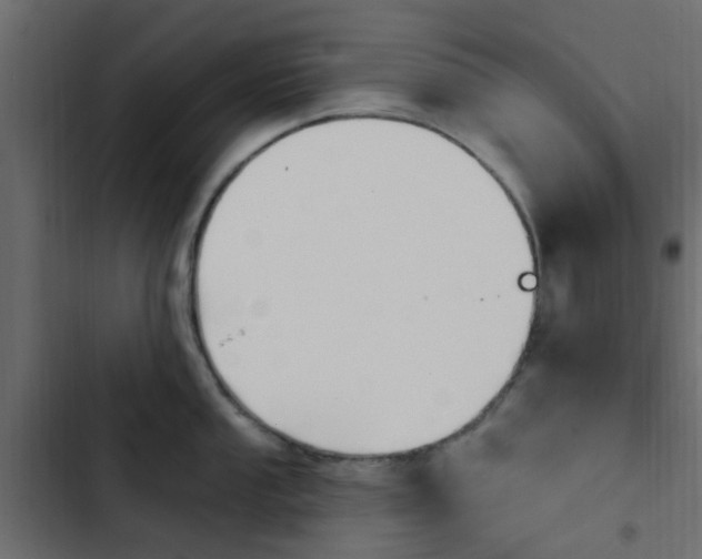 X0000103911053200809191115