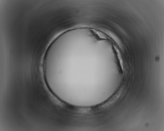 X0000103911055200809191115