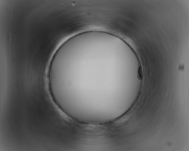X0000103911056200809191115