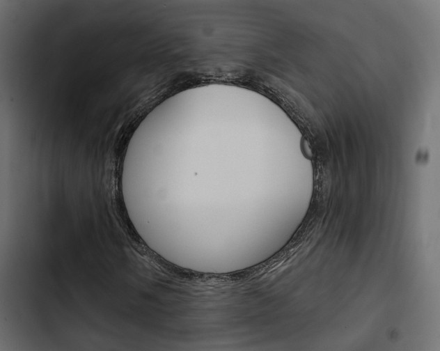 X0000103911058200809191114