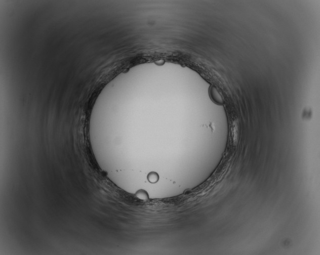 X0000103911059200809191114