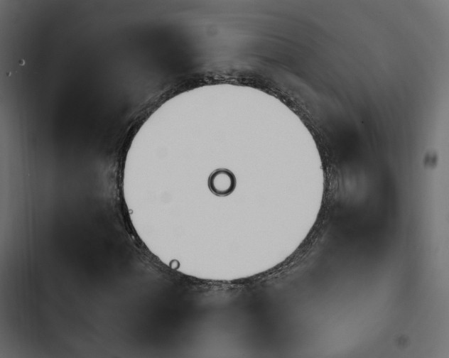 X0000103911060200809191114