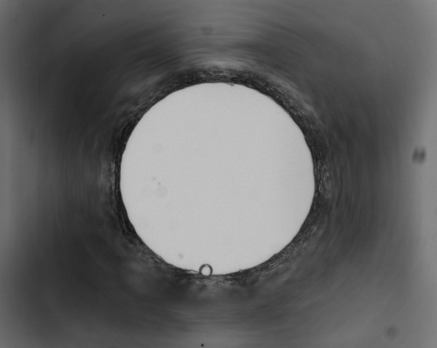 X0000103911061200809191114