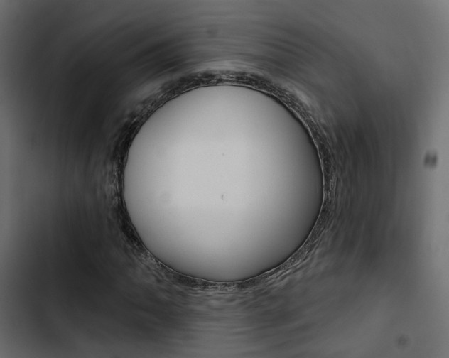 X0000103911062200809191114