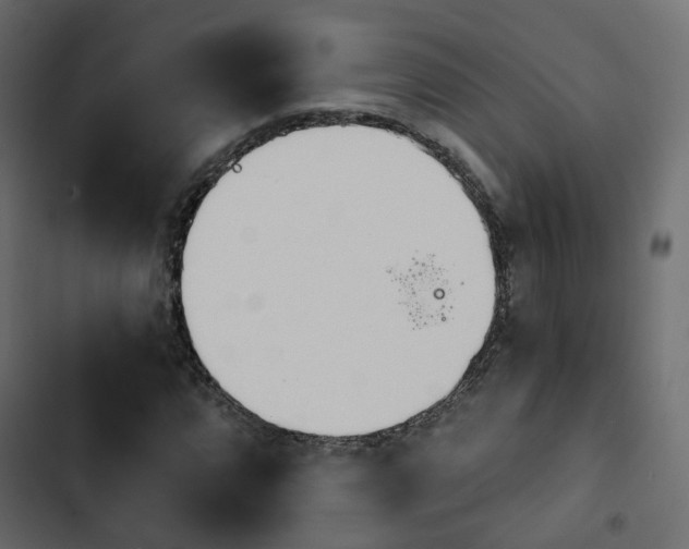 X0000103911064200809191113