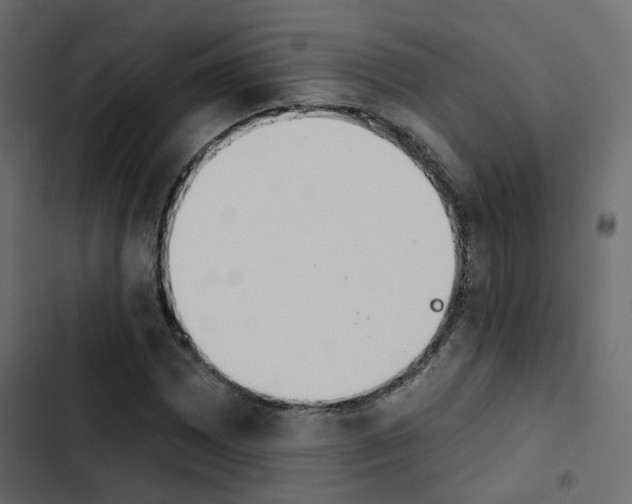 X0000103911065200809191113