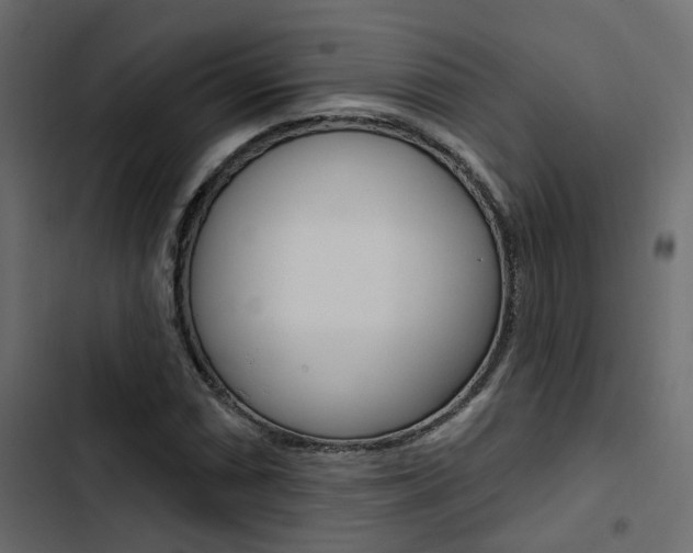 X0000103911066200809191113