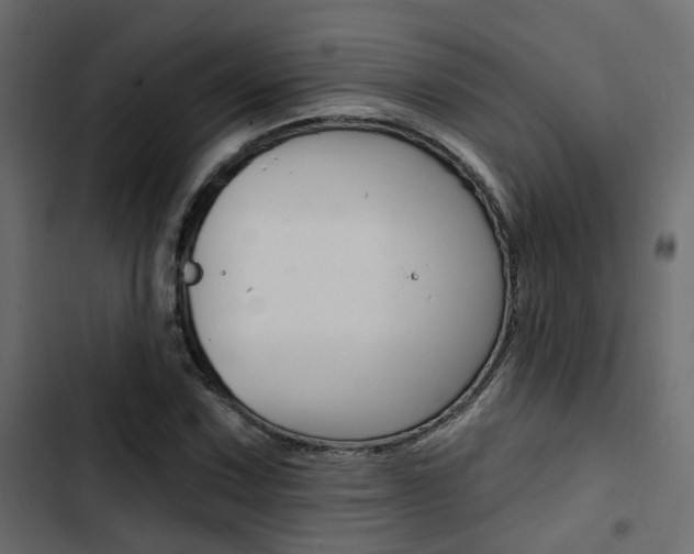 X0000103911067200809191113